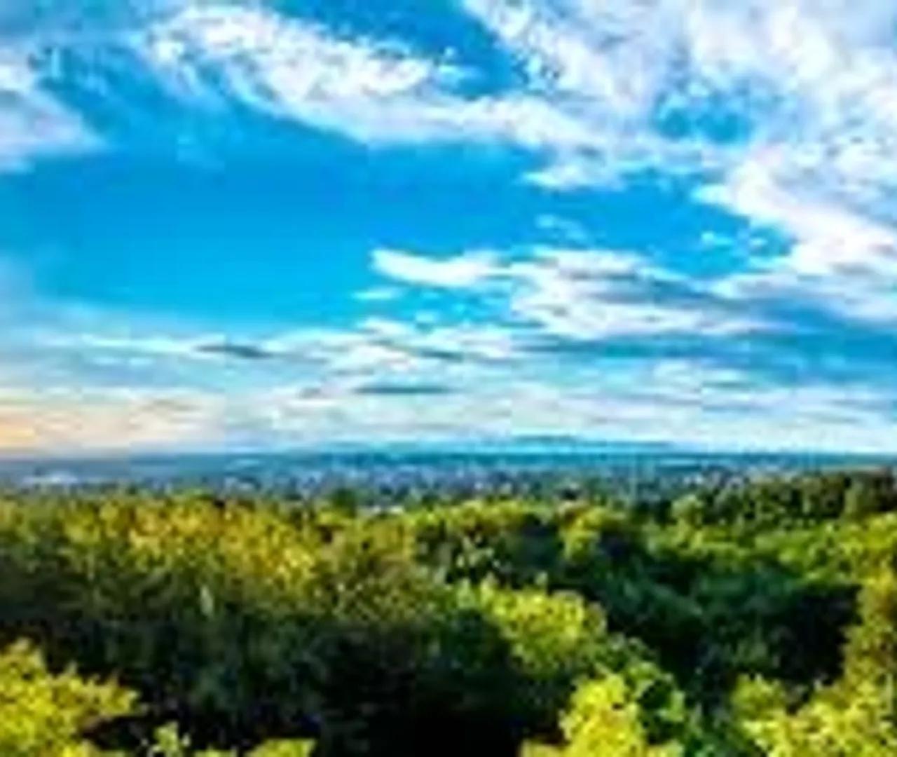 Our Burgers in Action - Gallery Image 2